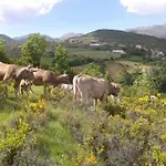 Castell Daire