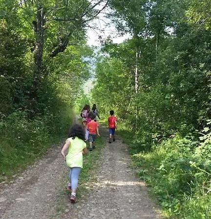 Castell Apartment Neril